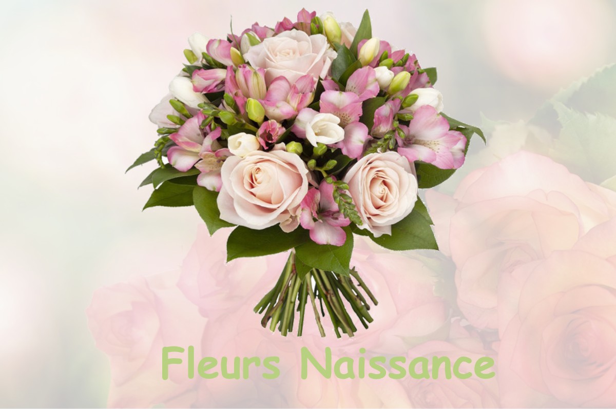 fleurs naissance JARCIEU