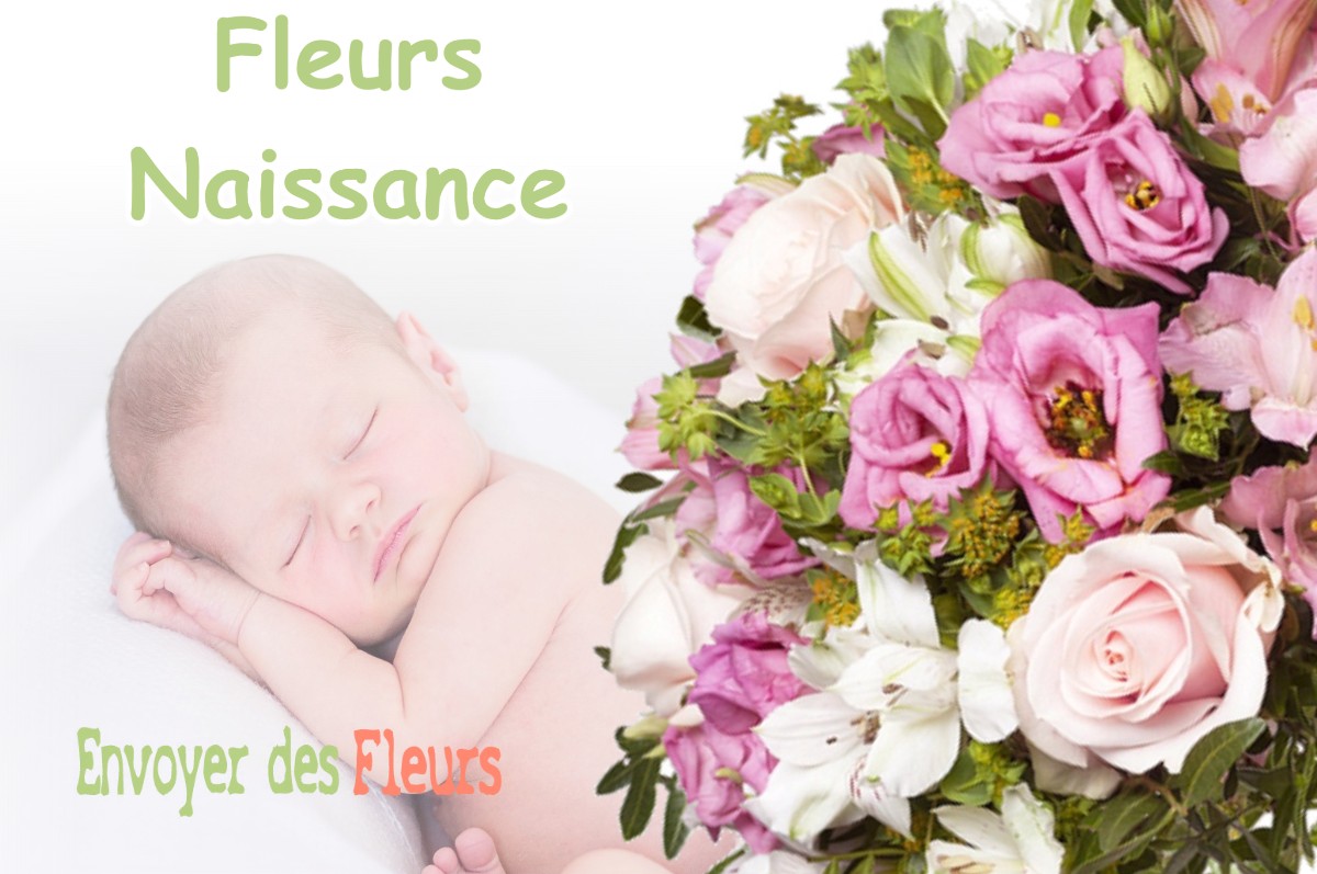 lIVRAISON FLEURS NAISSANCE à JARCIEU